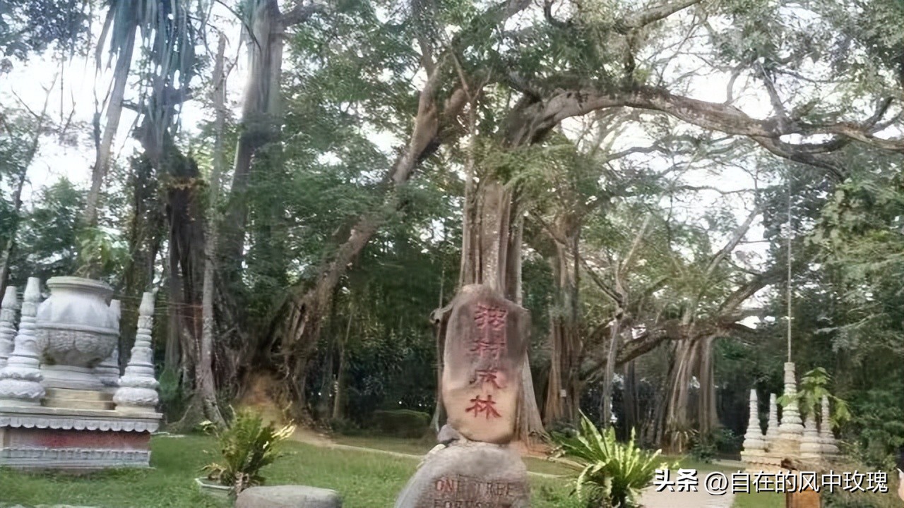 昆明腾冲瑞丽芒市六日游,腾冲瑞丽芒市旅游安全吗