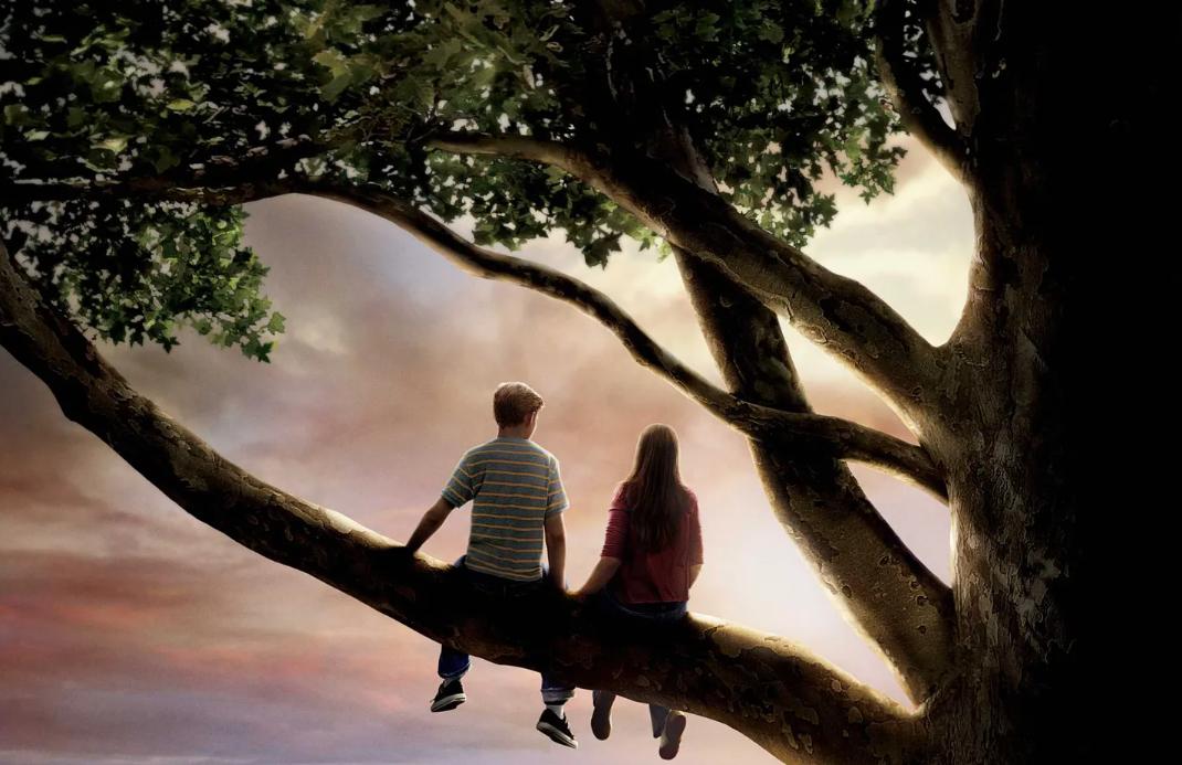 怦然心动家庭教育,怦然心动女孩对男孩说的话