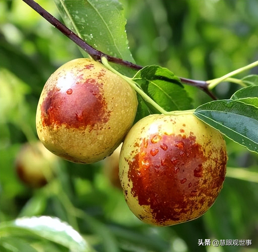 真正的山西孝义土话方言,山西孝义土话大全集