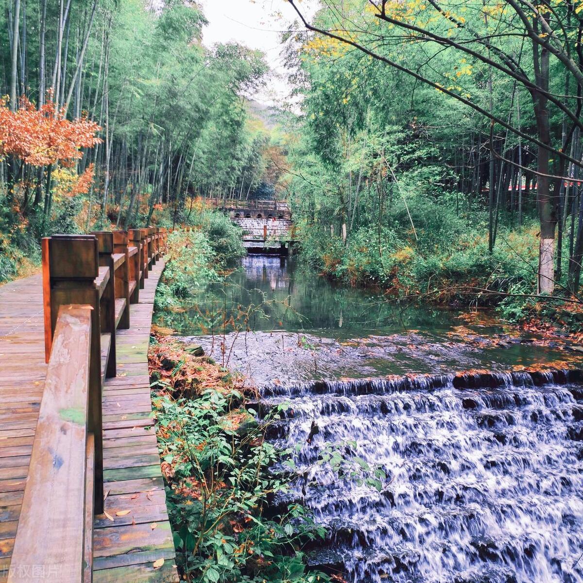 美丽中国之江苏,天目湖南山竹海美景