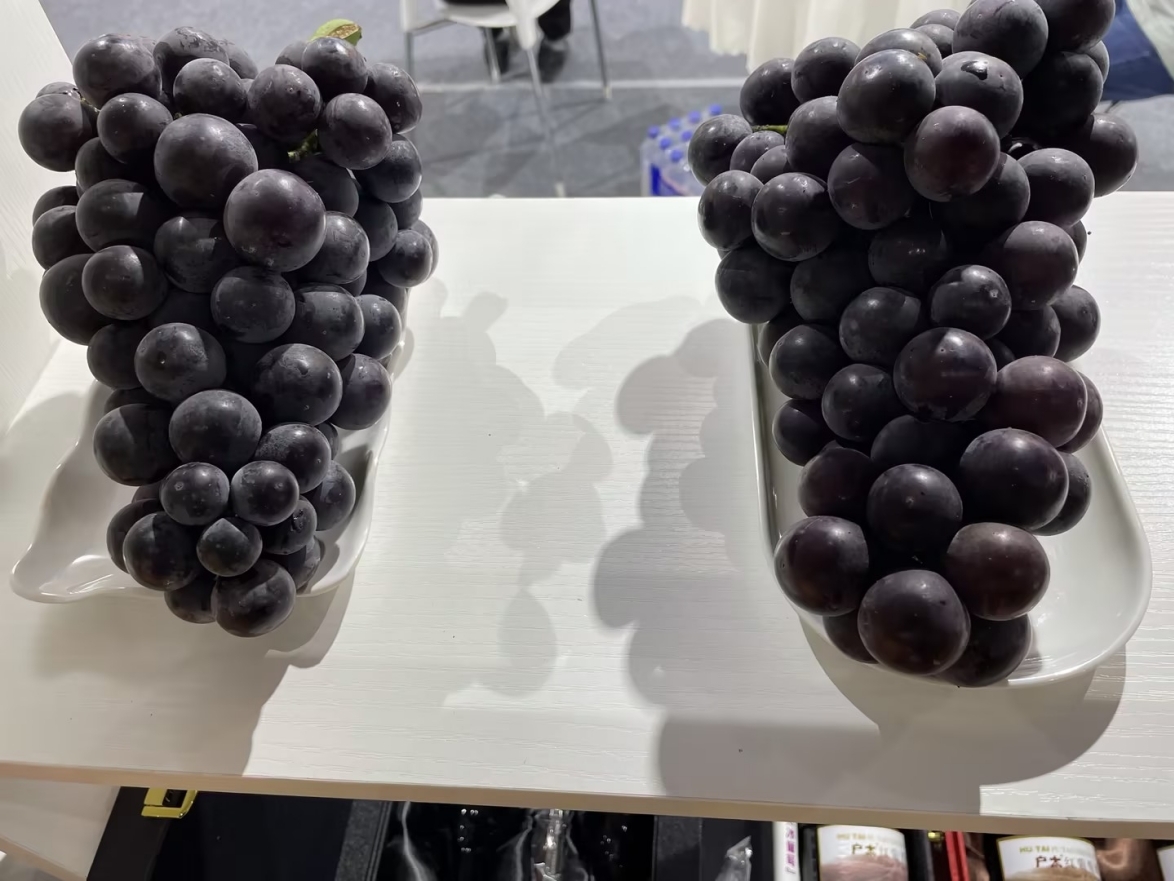 长春冬季农博会农产品展会,长春农产品展