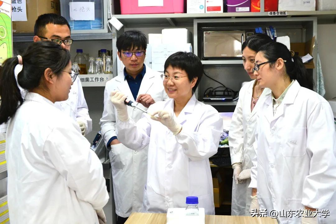 生日快乐！一起为山东农大“非凡十年”点赞