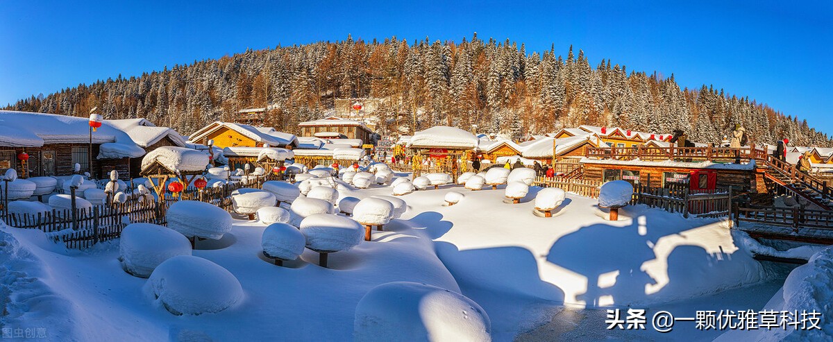 中国程序员在日本的视频,国内程序员去日本可以做什么