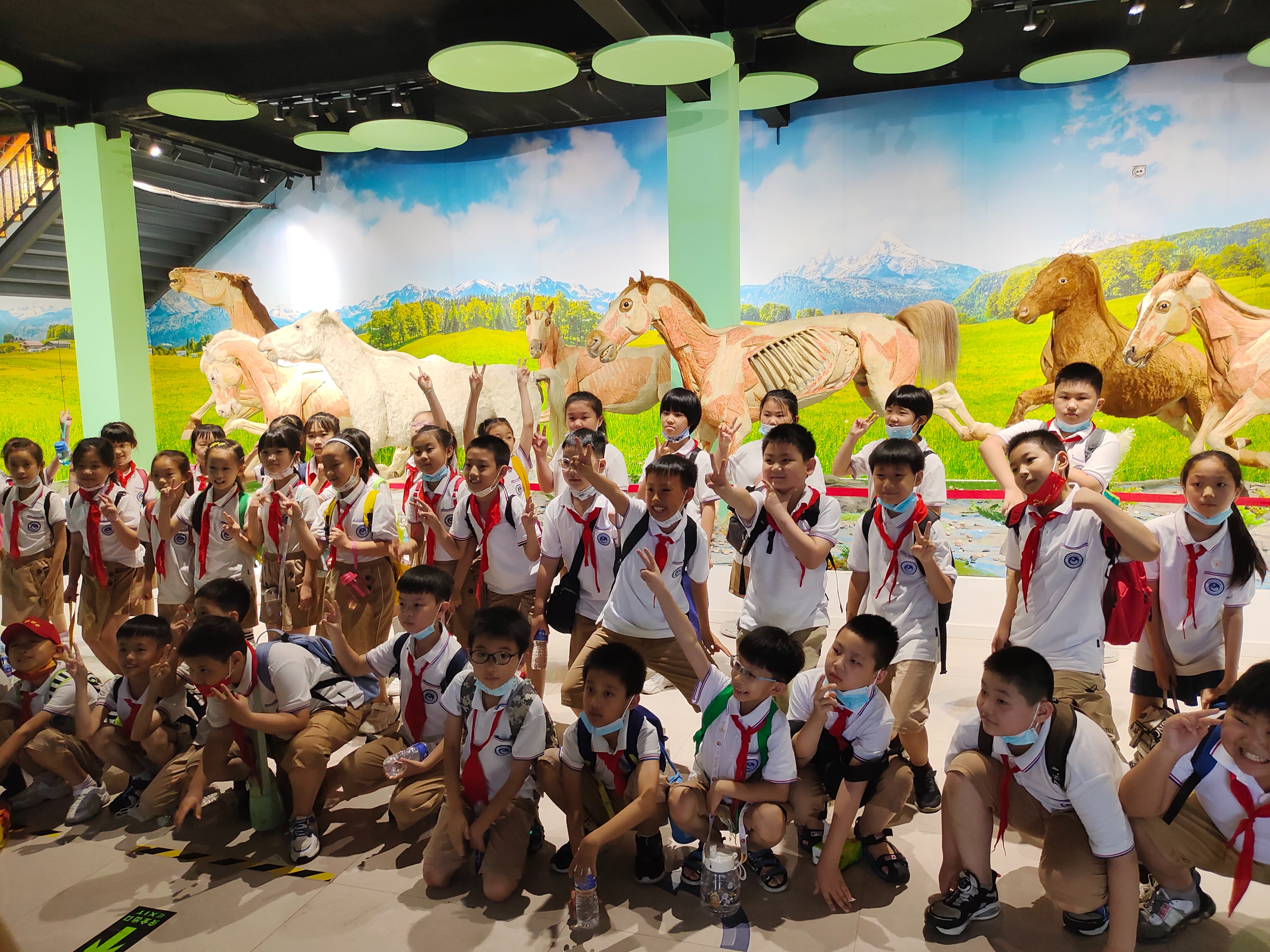 郑州生命自然科学馆,生命科学馆之旅