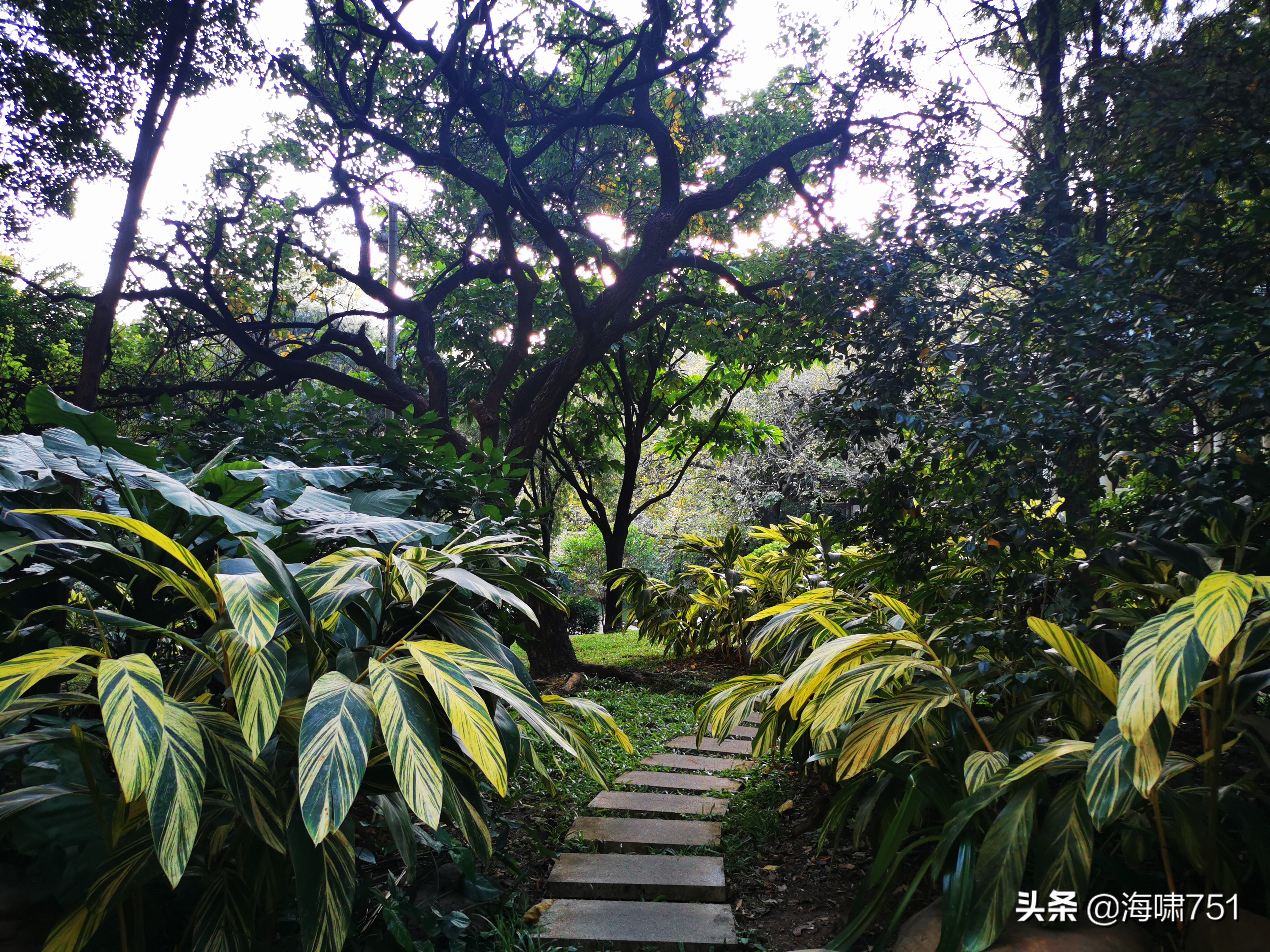 黄花岗公园开放时间,黄花岗公园停车