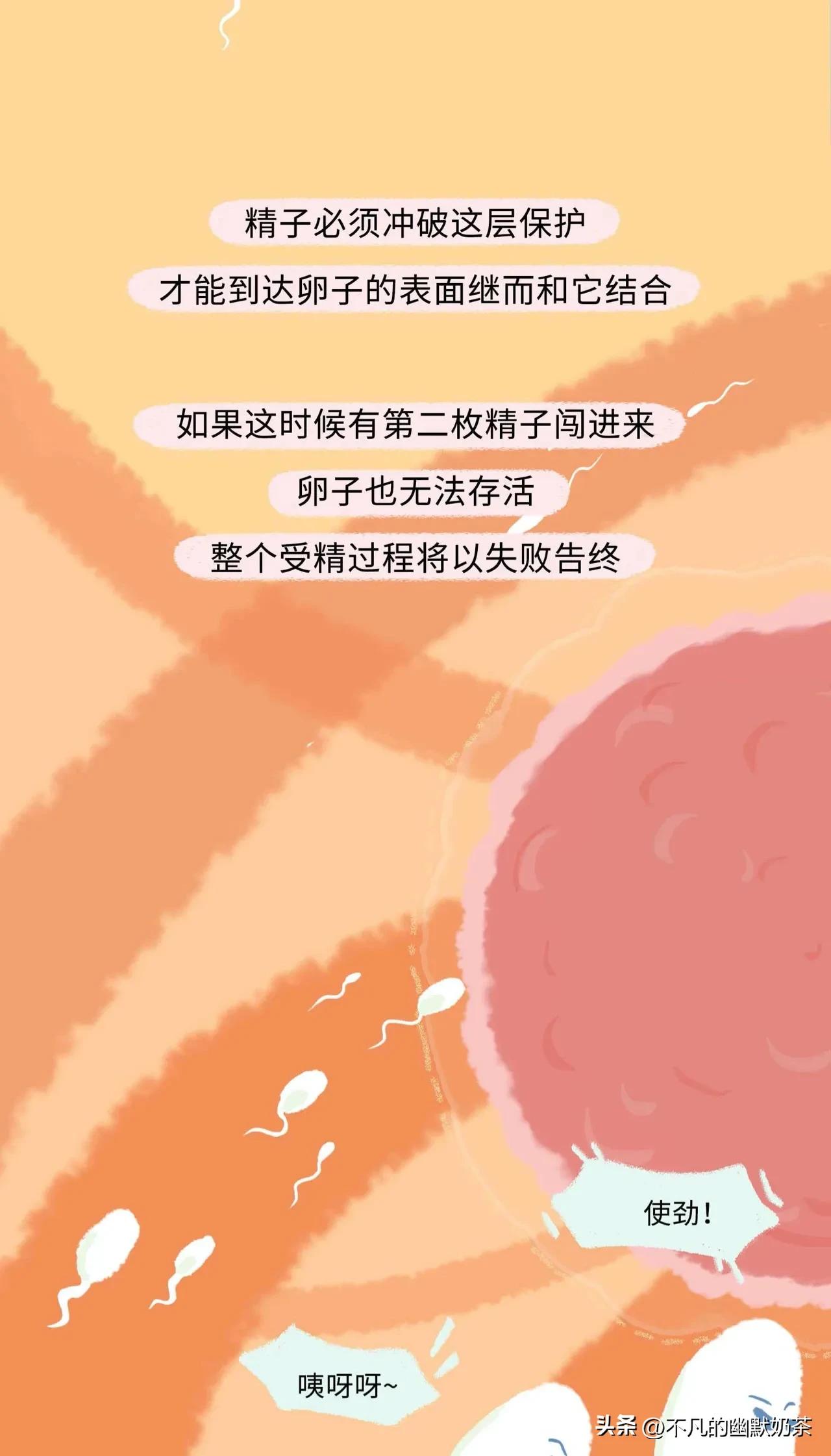 （漫画解说）精子进入女性体内的全过程，太神奇了！