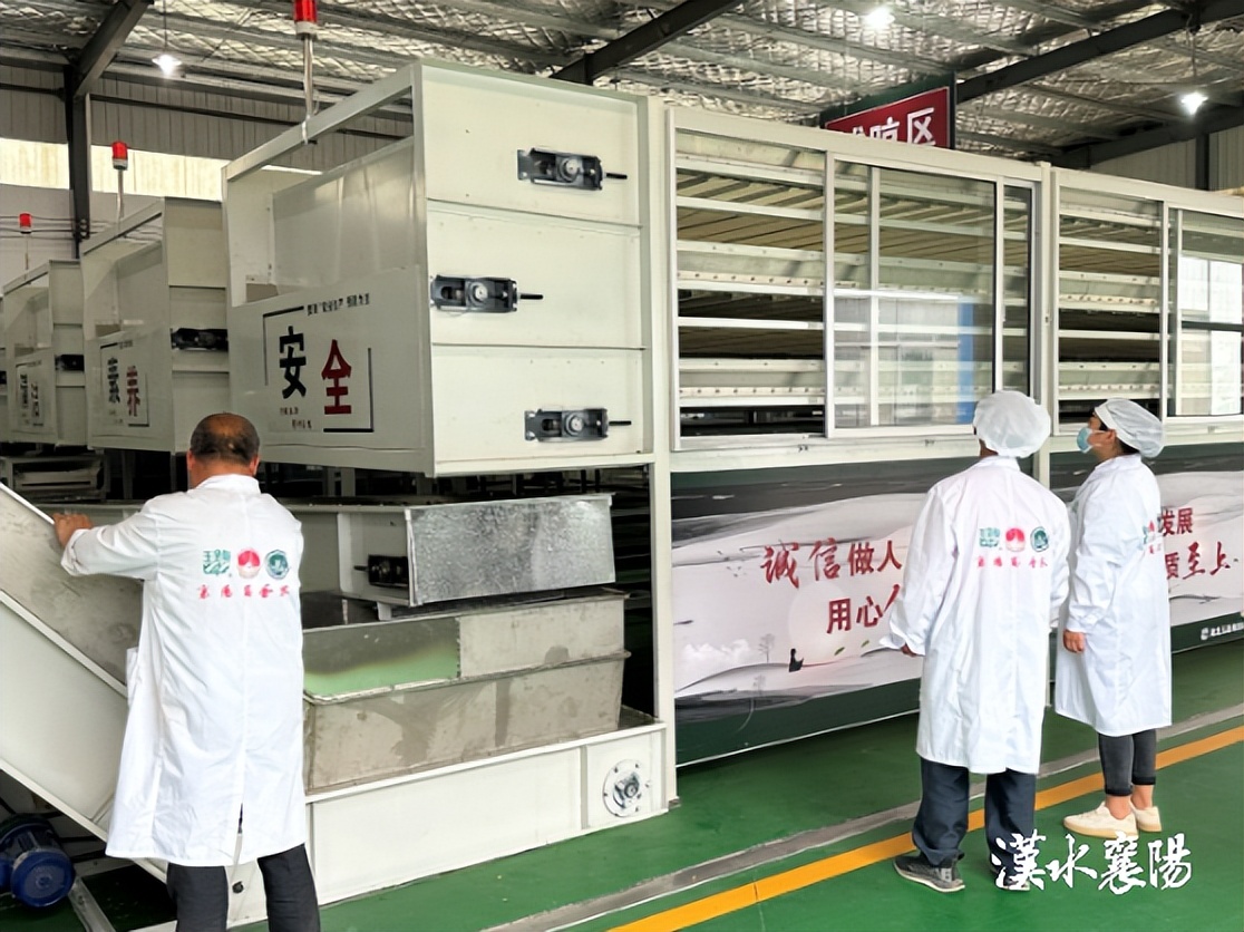 这杯“谷雨茶”，真香！