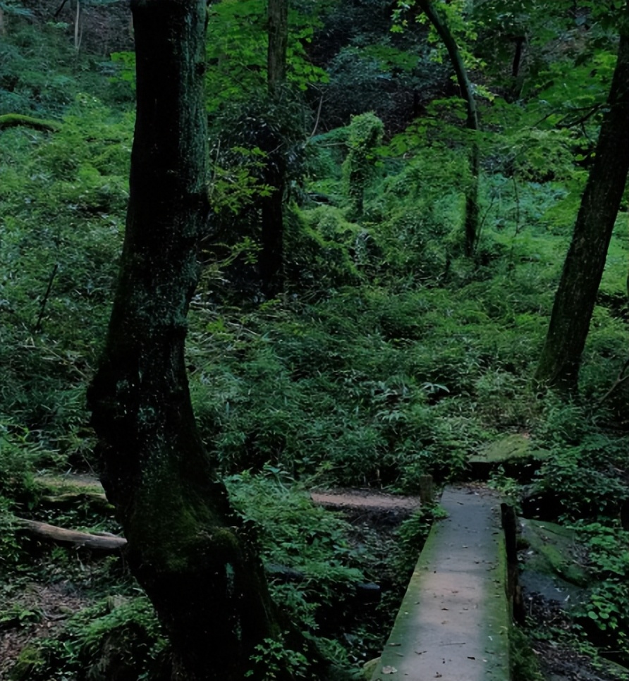 信阳旅游攻略,信阳南湾湖一日游详细攻略