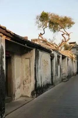 梦到底是什么最合理的解释,梦到底是什么图片