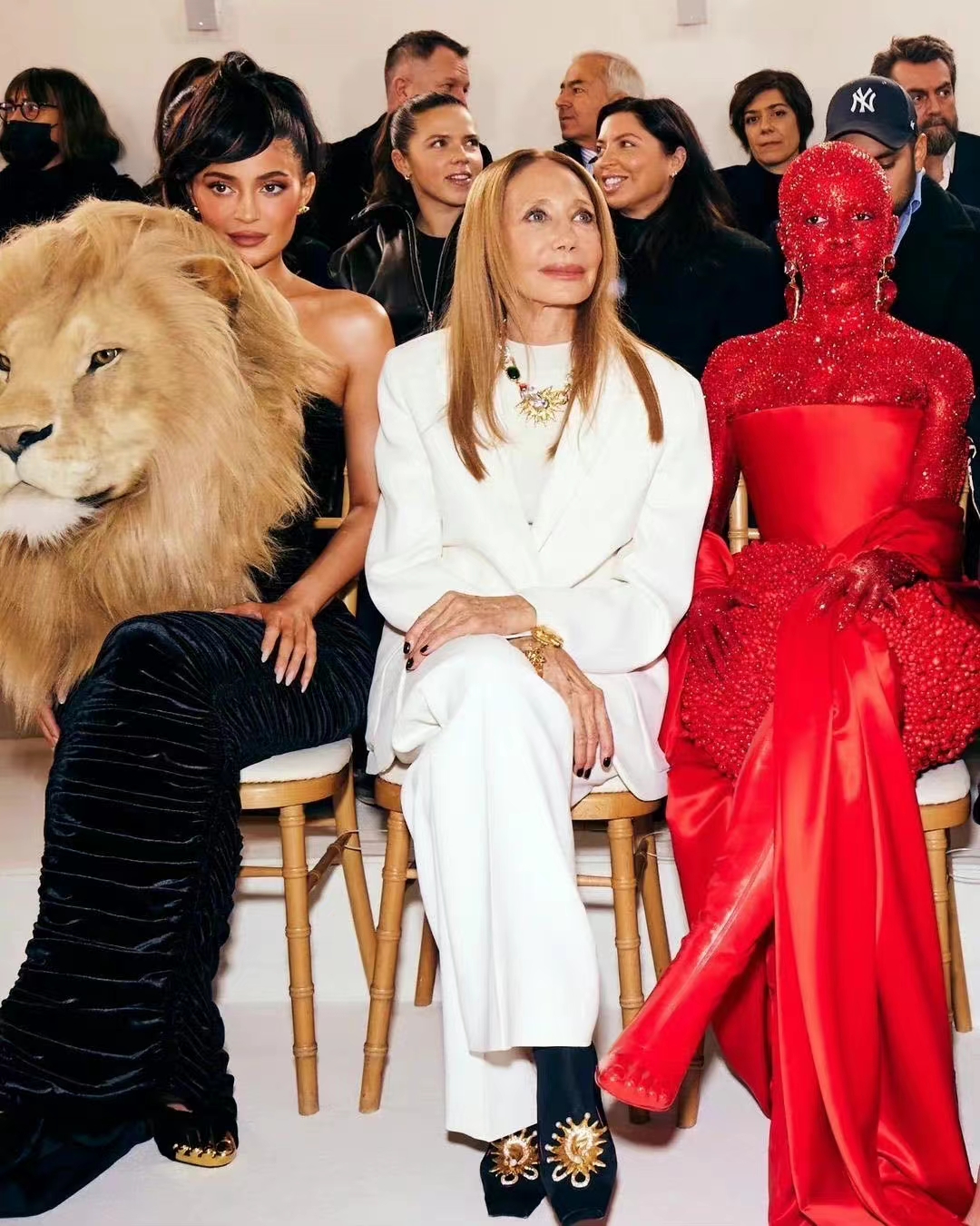 豆荚猫红色造型秀场,豆荚猫秀场图片