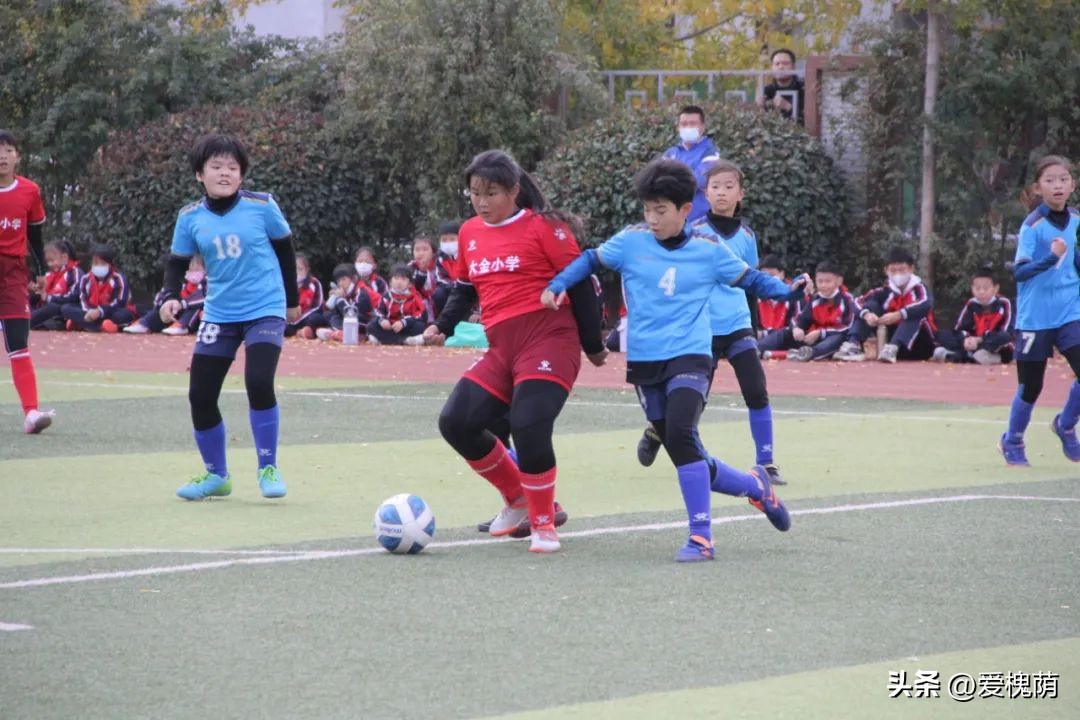 体彩杯足球赛小学,2024年历城区小学生足球比赛