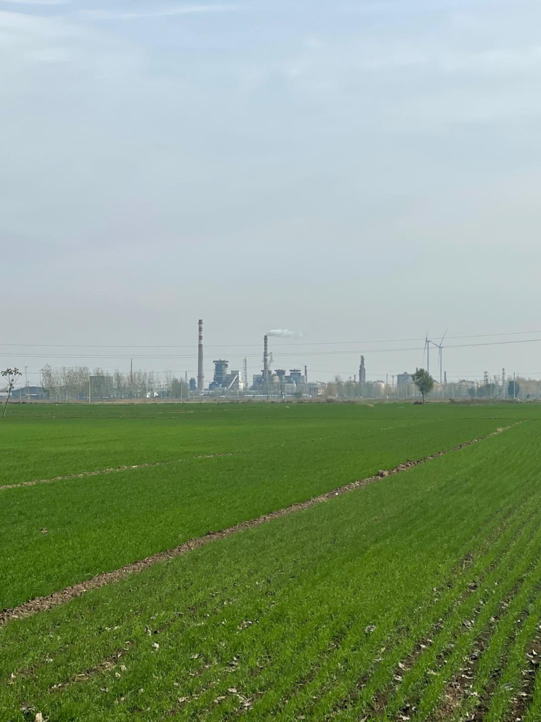 环渤海湾骑行记,环山东骑行日记青岛平度市