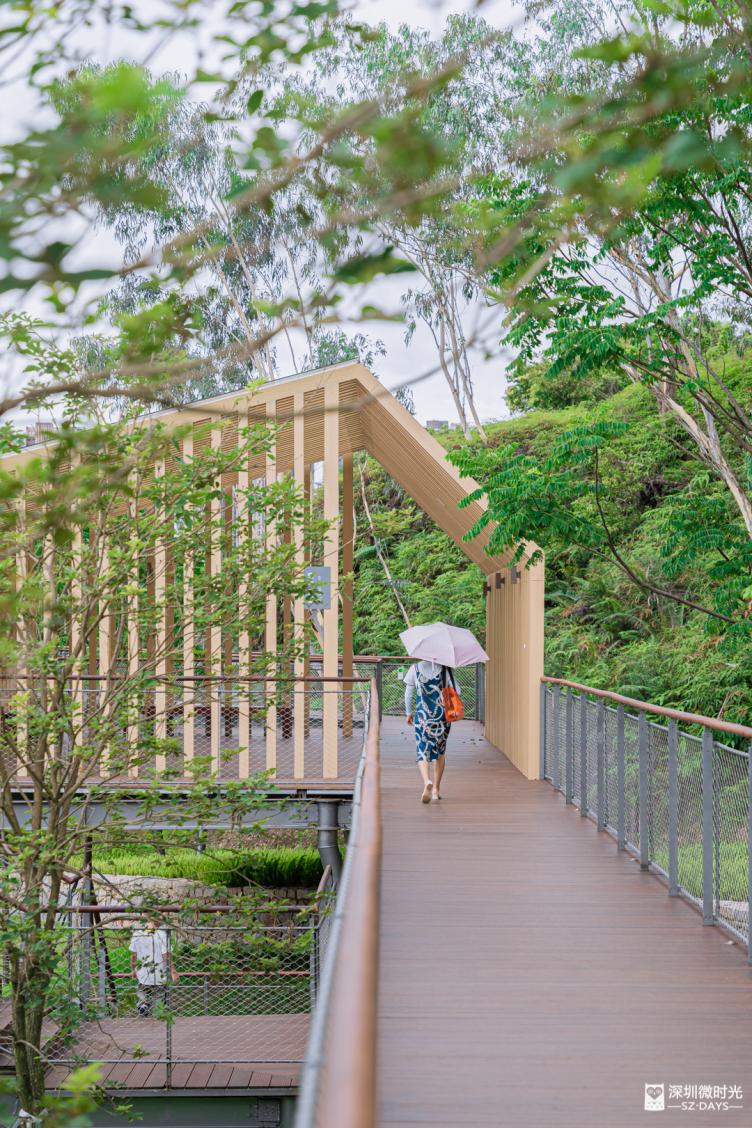 14号地铁有没有到坪山高铁站,坪山14号线转10号地铁图