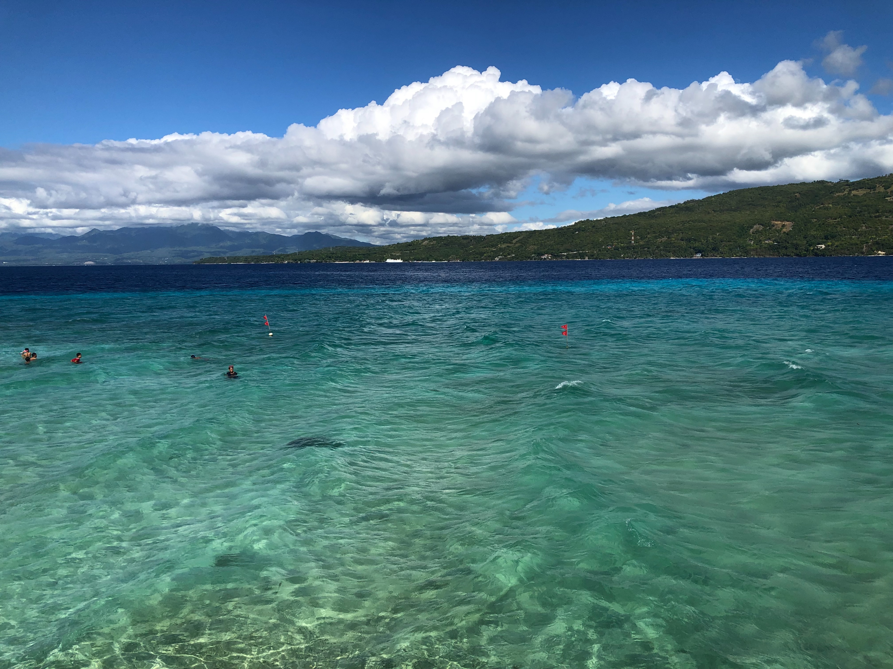 菲律宾宿务市区周边的旅游景点推荐，适合家长带娃自助游，干货！