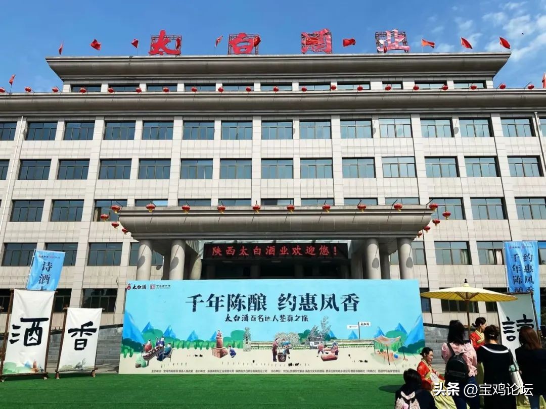 宝鸡：“一滴太白酒，十里草木香“走进太白酒厂！