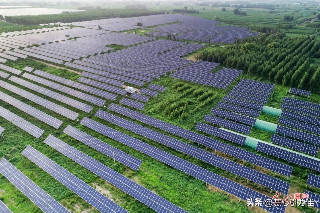 靠晒太阳躺赚上万农民被骗,靠晒太阳躺赚坑了无数人