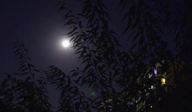 领导让我给出裁员名单我该怎么办,领导说自己在裁员名单上