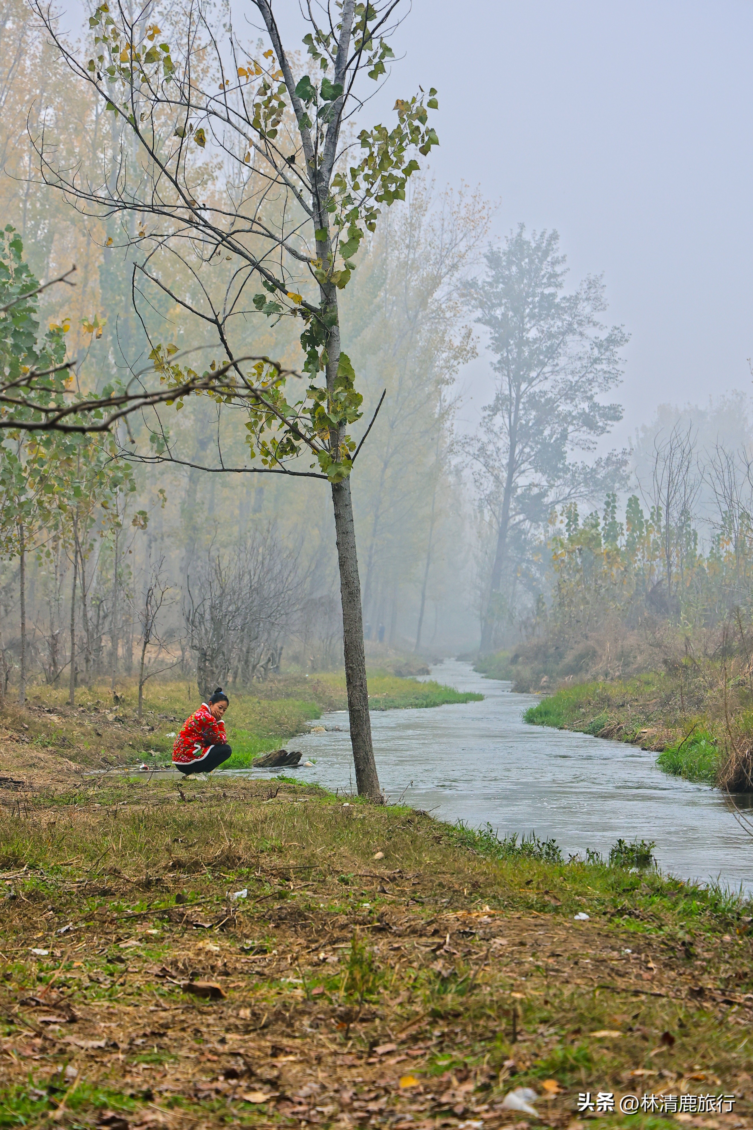 实拍火遍郑州的潮河：被誉为“小伊犁”，好多人来露营烧烤