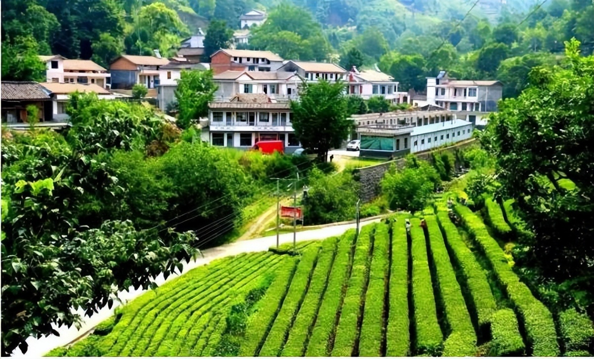 氧居田园山水康县，一个你值得去体验的地方！