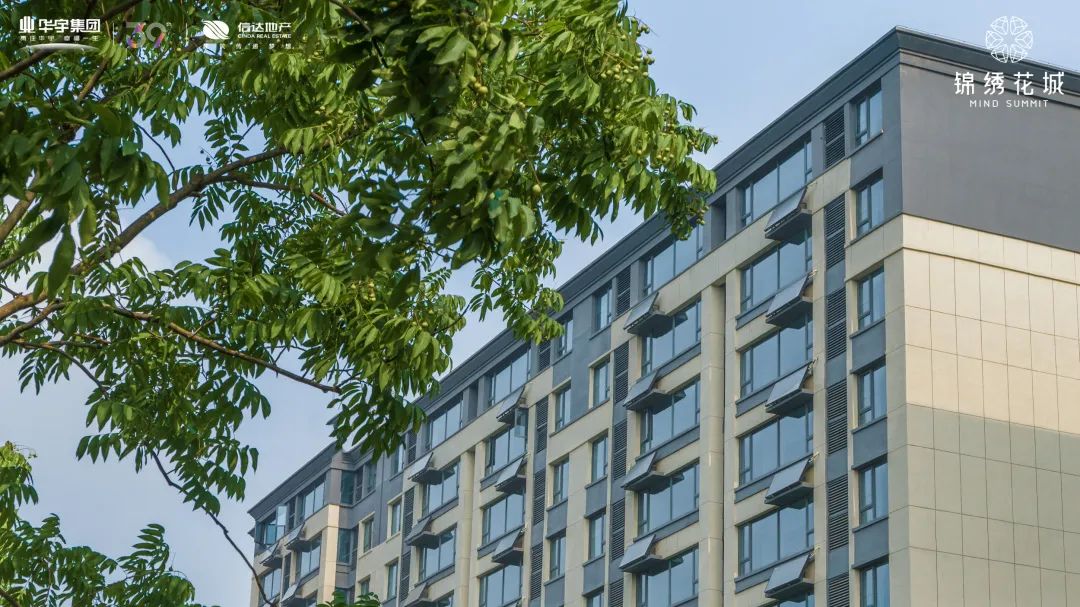 实探湖景新板块,实探新楼盘提前剧透