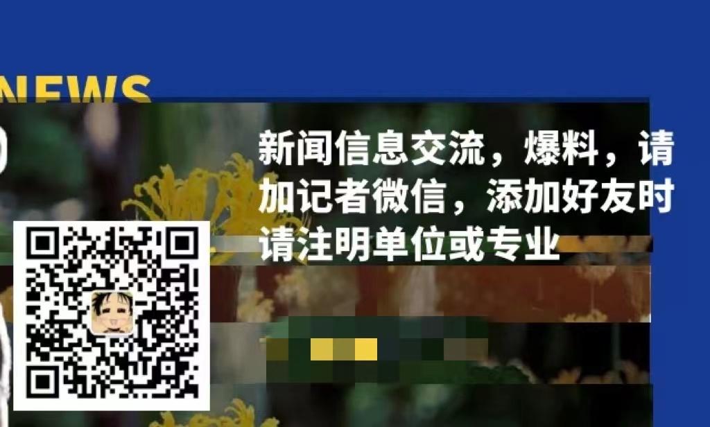 南方人爱不够的紫荆花，北方人懵了：“这哪儿是紫荆花啊？”