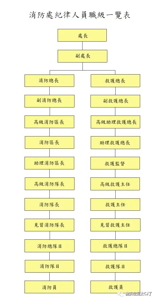 犯罪嫌疑人和他的同行人,民警和嫌疑犯同年同月同日生