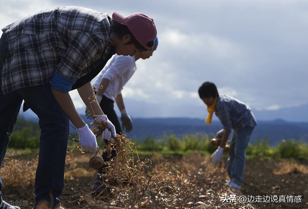 机关单位占用双休日加班违法没,周六加班算在绩效违法吗