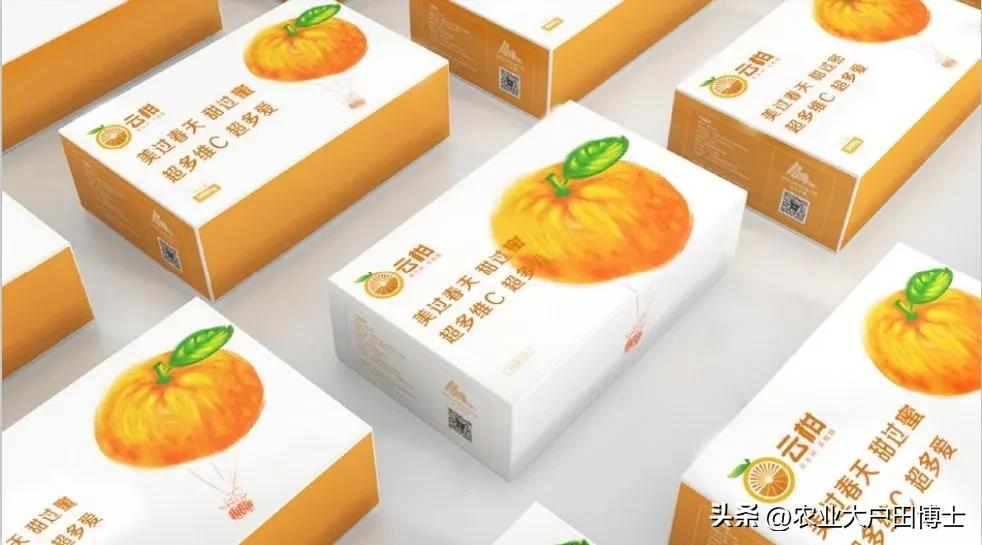 沃柑品牌策划核心竞争力如何提高,沃柑品牌推荐