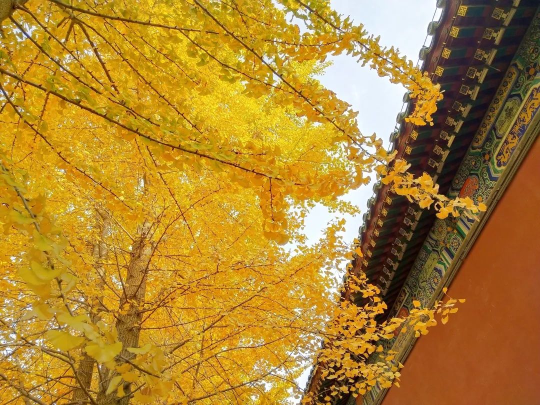 看赵云庙感受,赵云庙景区简介图片欣赏