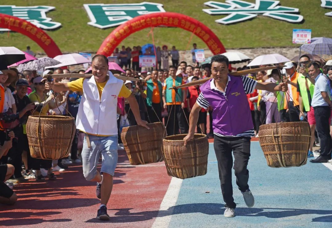 中国农民丰收节物化标识系统怎么设计？请您来支招