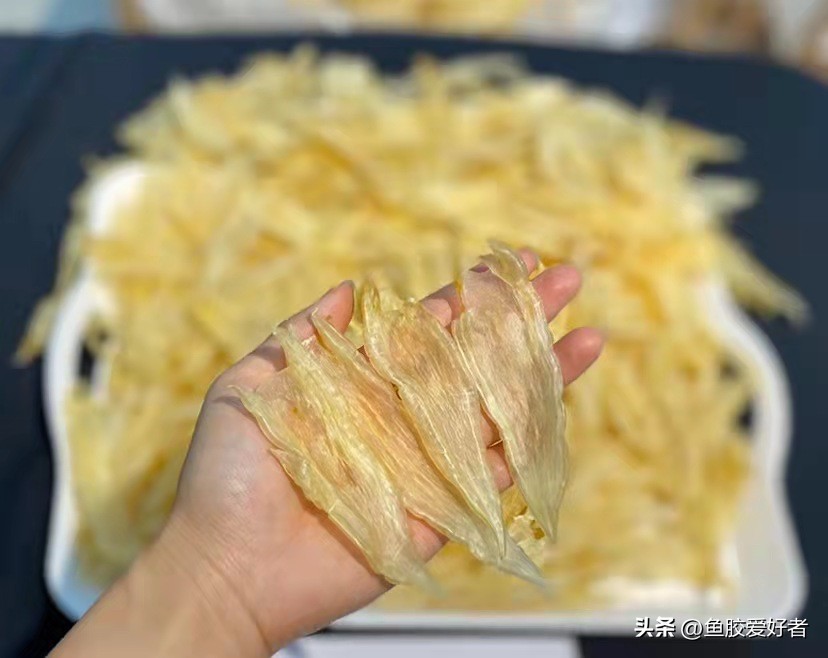 北海胶和大口胶怎么选择,北海公胶和墨西哥胶哪种好