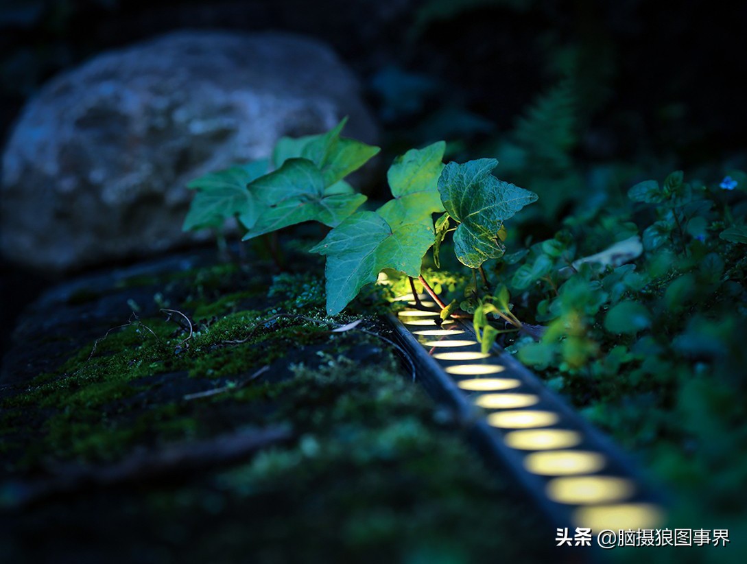 你拍的照片不够唯美,你拍的照片不清晰是怎么回事