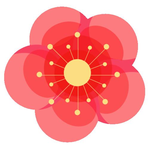 厦门十大最美花海,盘点厦门最美花海的地方