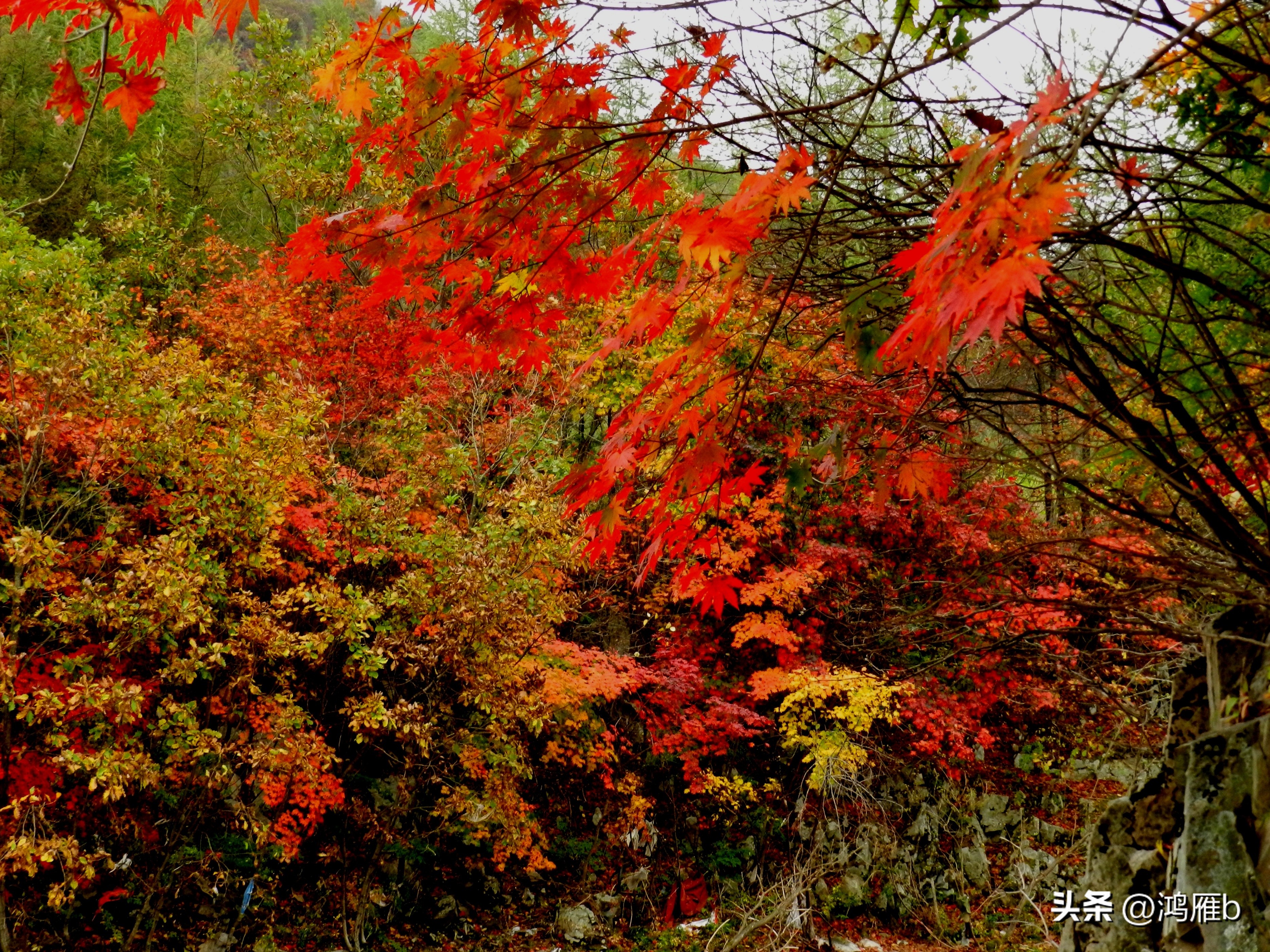 本溪温泉汤沟门票价格,本溪花溪沐枫雪温泉小镇