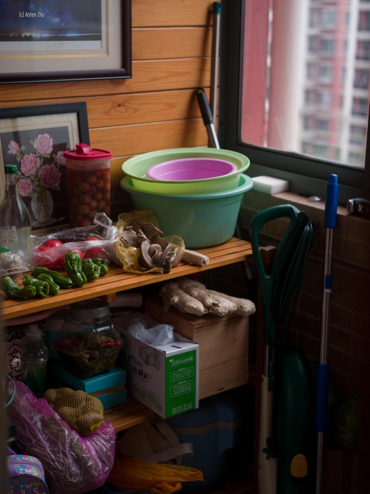 与十年前入门相机对比差别多少,十年前的相机好用吗