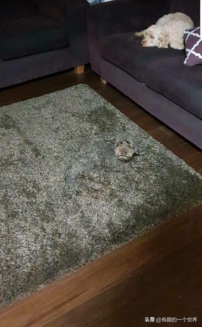 偶然记录的33个瞬间，初看很困惑，看懂后又觉得很妙