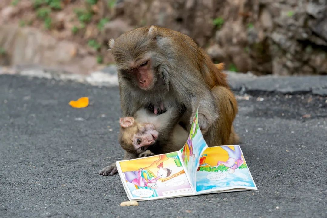 桂平市入选全国百强县市吗,广西桂平百强县