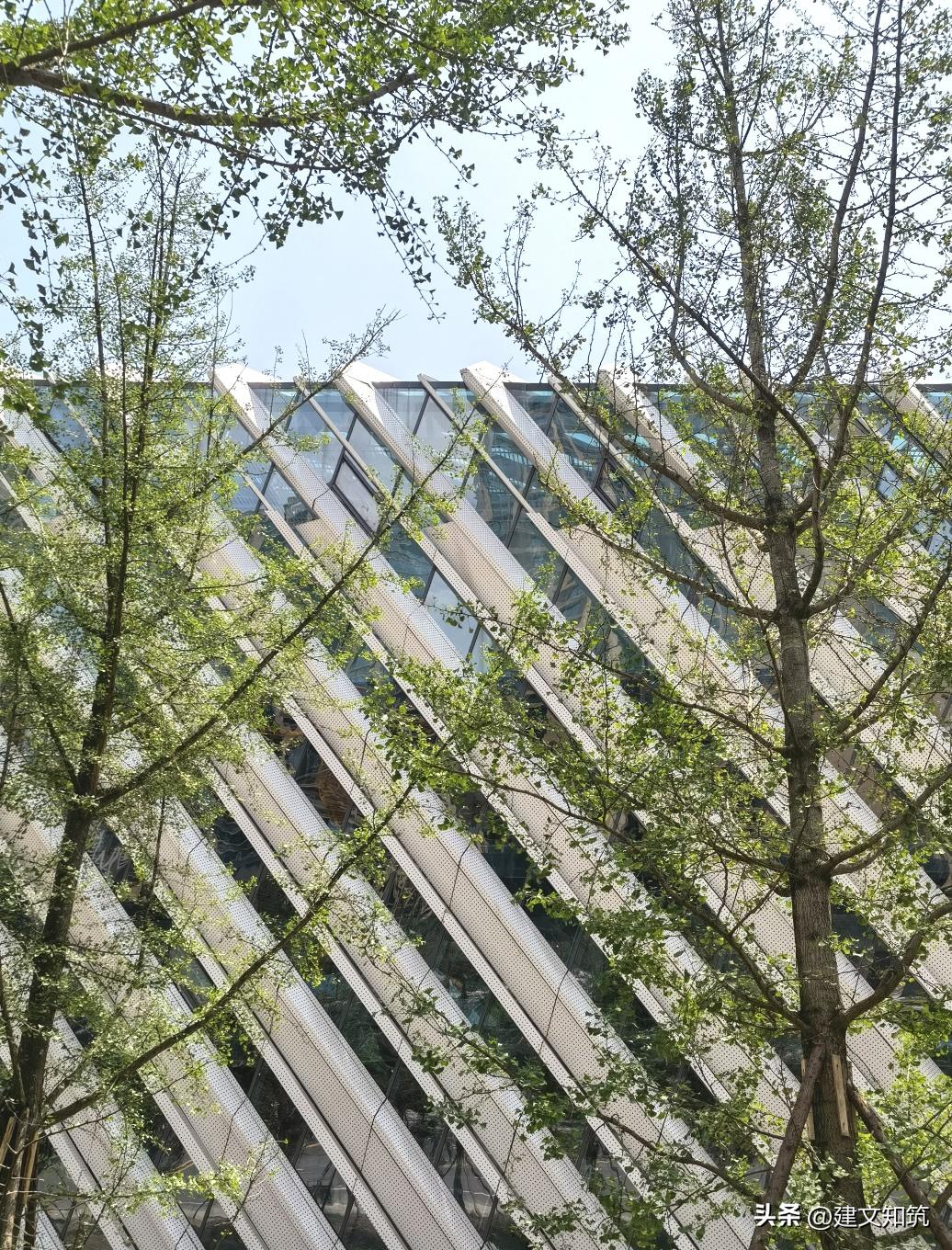 重庆龙兴足球场文旅,重庆龙兴足球场设计方