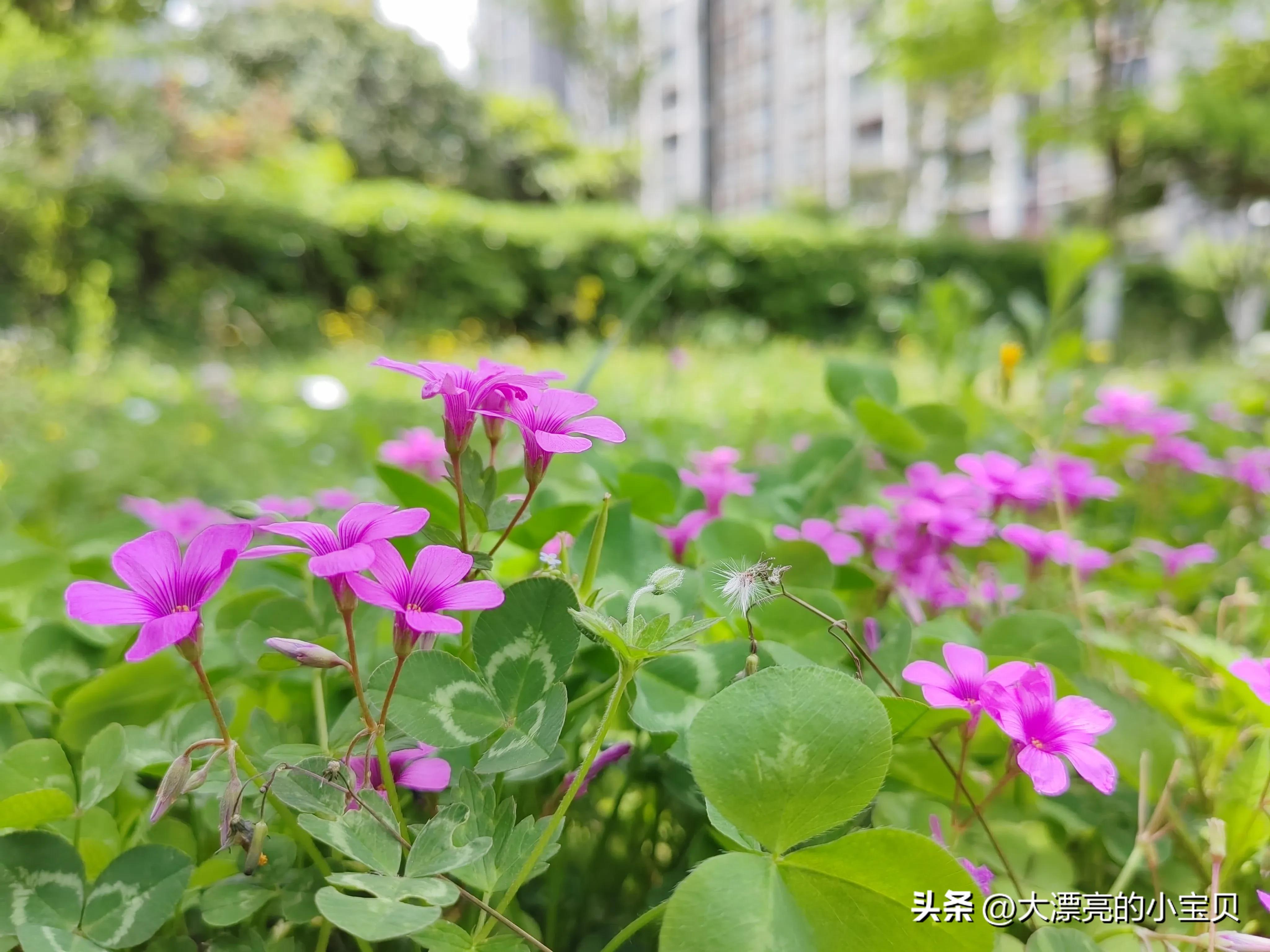 什么样的关系能称得上是朋友,什么样的关系才算熟