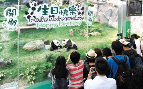 澳门风云的照片,70张老照片图片