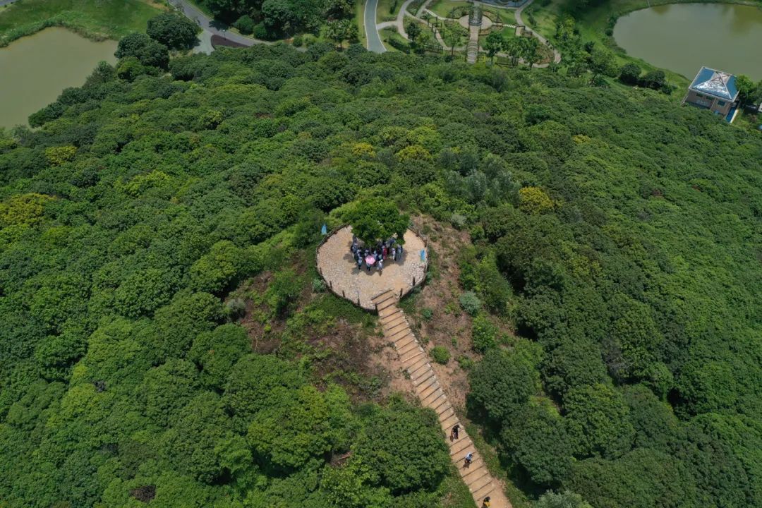 我为什么建议你留在一线城市,我为什么推荐你一定考北邮