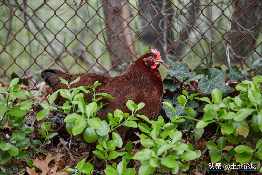 家庭农场注册资金和贷款有关系吗,家庭农场有没有必要注册商标
