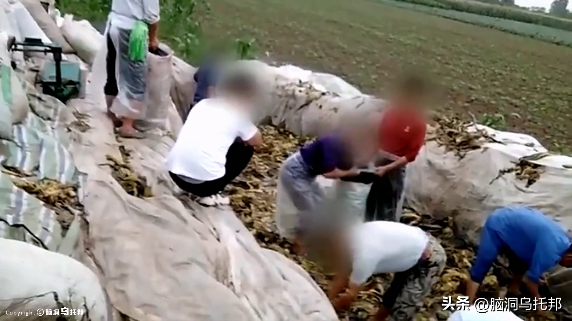 海天酱油添加剂辛吉飞,海天酱油添加剂是什么