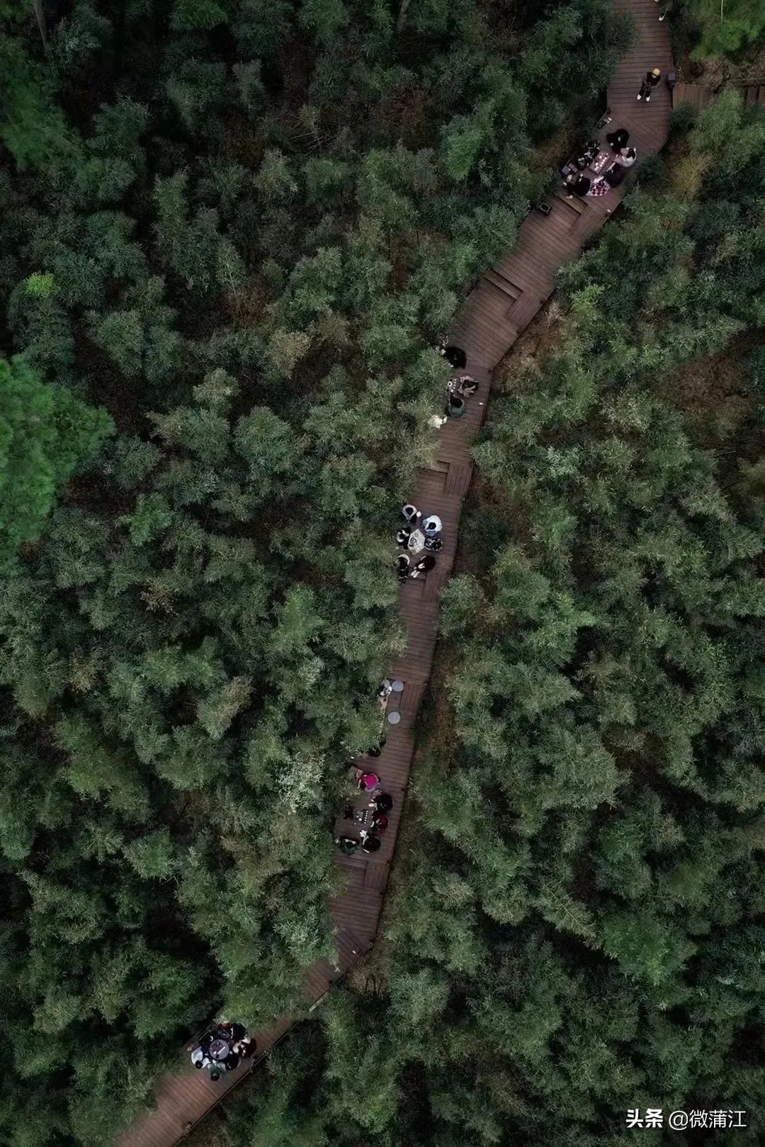 【新蒲江人】成都蒲江县乡村规划师邓小玲:扎根基层10年做乡村和规划之间的“桥梁”