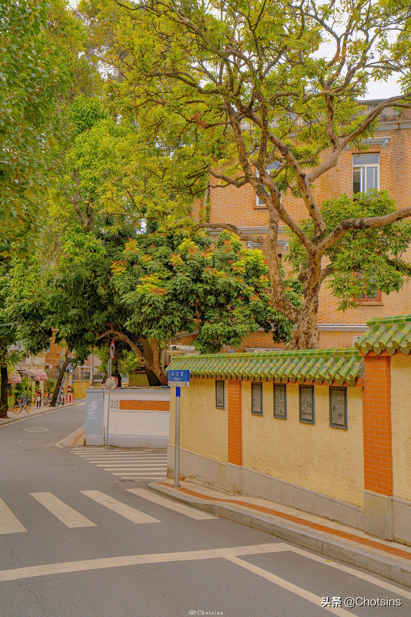广州带小孩一日游攻略必去景点,广州一日游带你看看不一样的广州