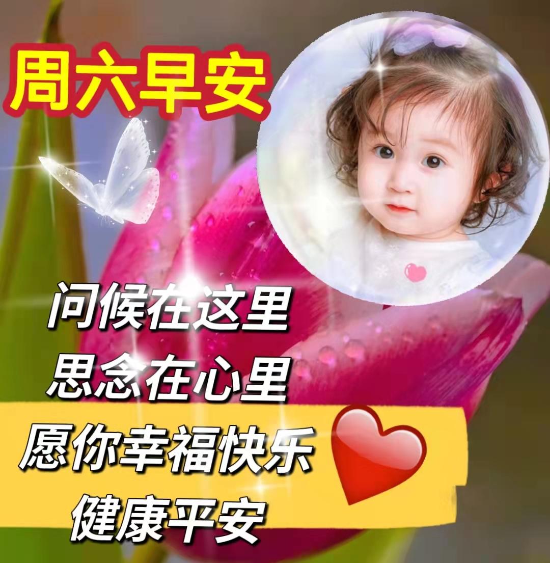 九月早上祝福,九月九早上好的祝福视频