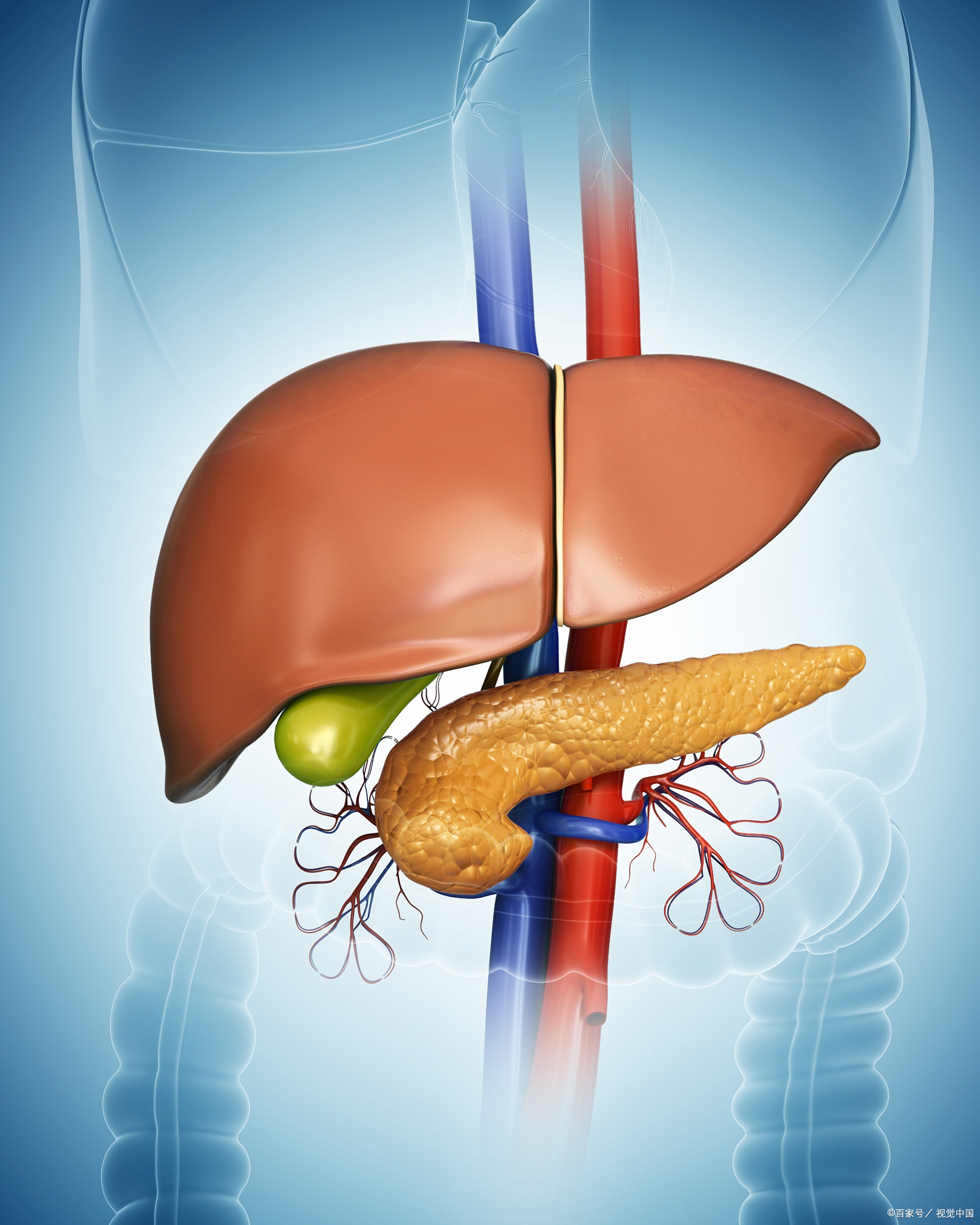 疏肝养肝活血化瘀的中成药,疏肝理气化瘀活血