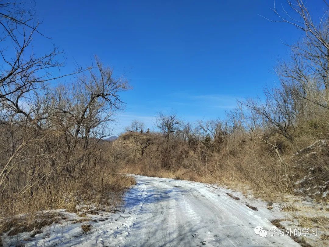 去哪里挖黄铁矿,如何挖黄铁矿