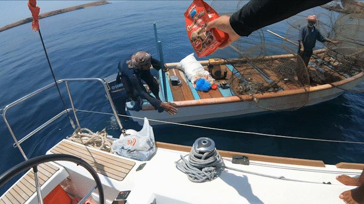 中国小伙的航海日记,44:遭遇海上马蜂袭击,亲妈都不认识我了