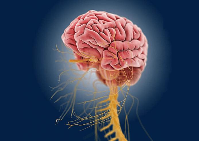 大敦穴放血治疗失眠,扎耳穴治失眠